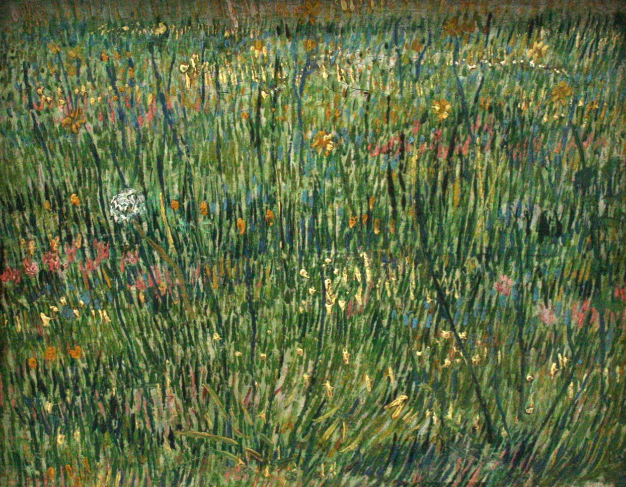 Grasfleck von Vincent van Gogh