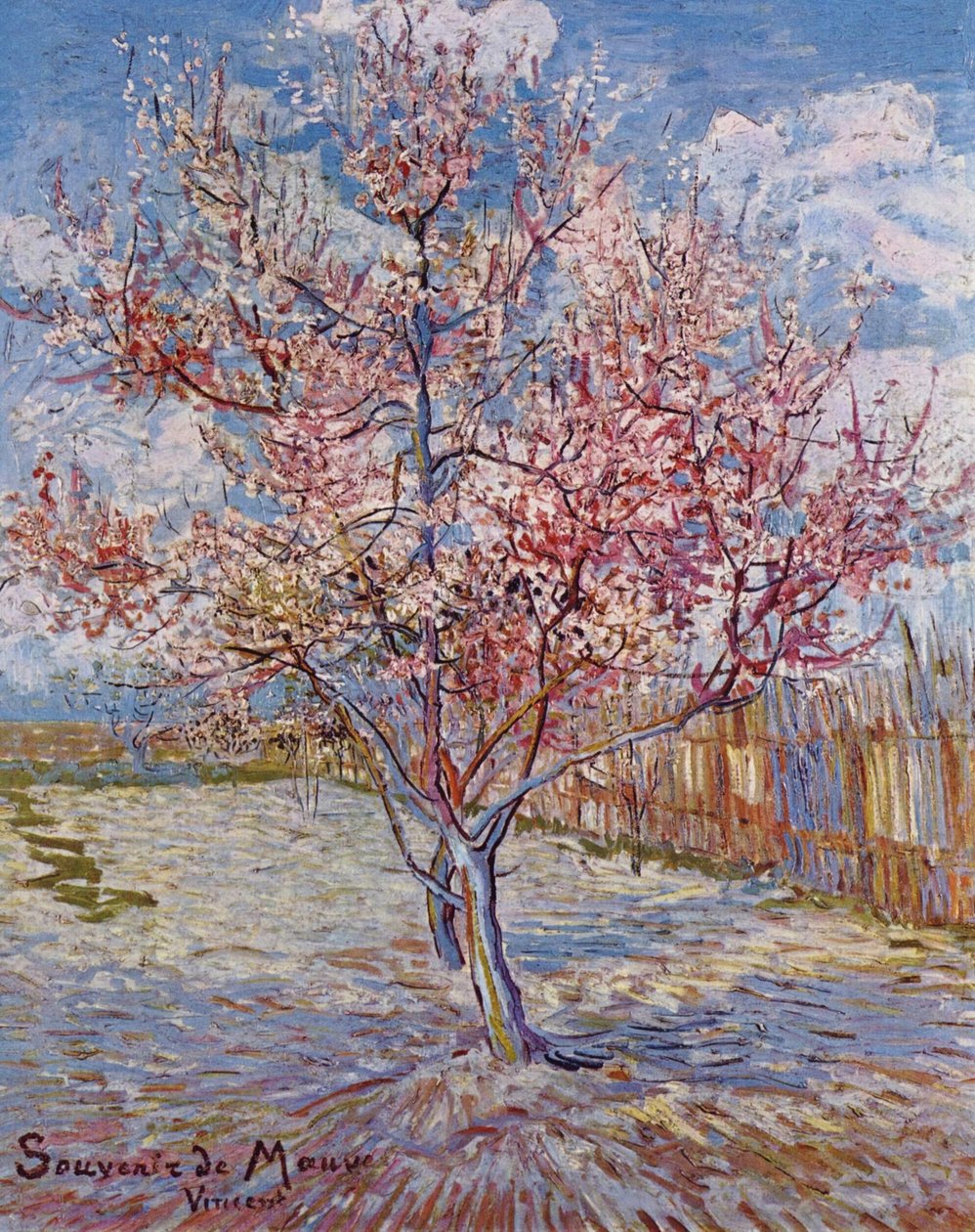 Grasfleck von Vincent van Gogh