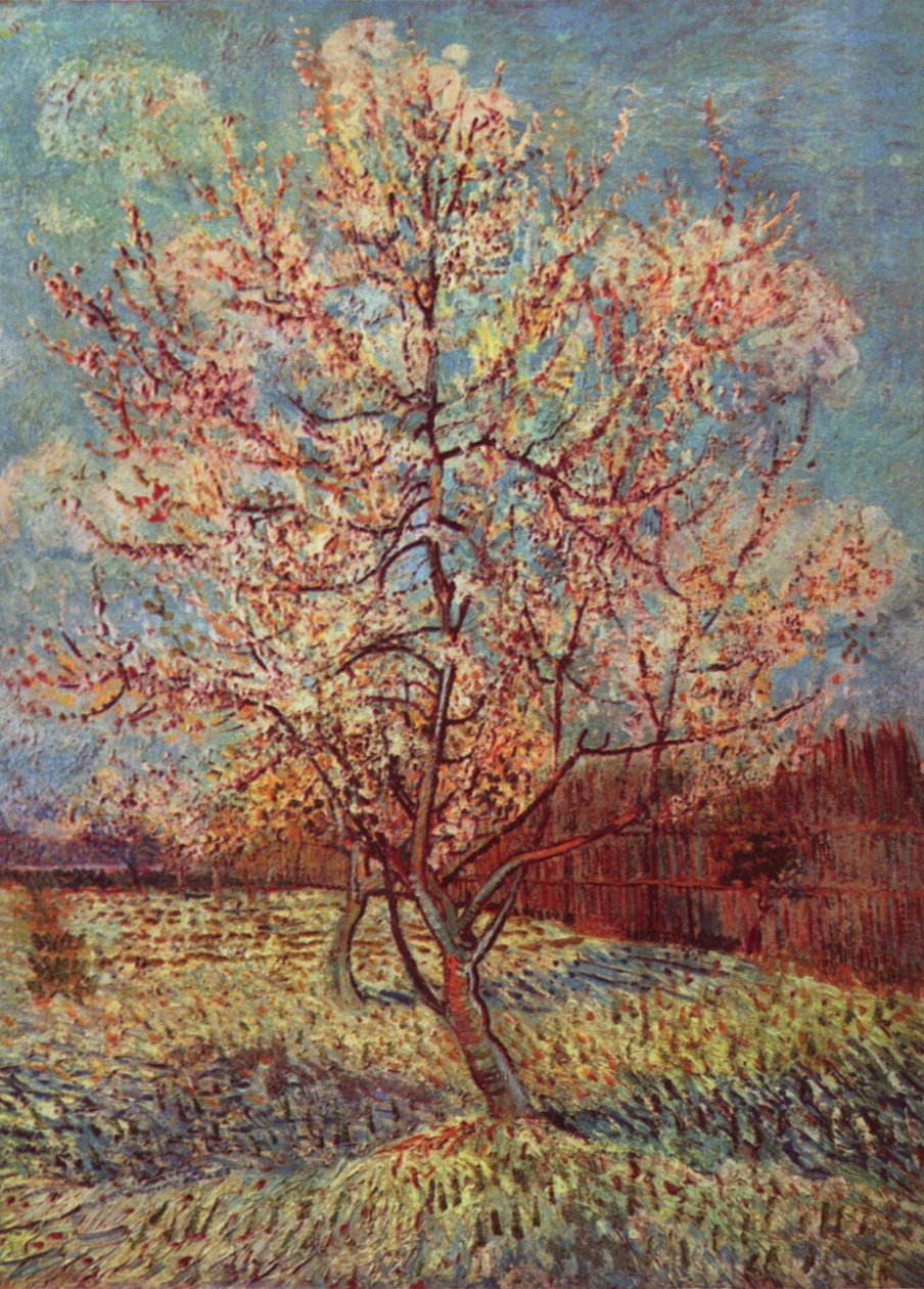Pfirsichbaum in Blüte von Vincent van Gogh