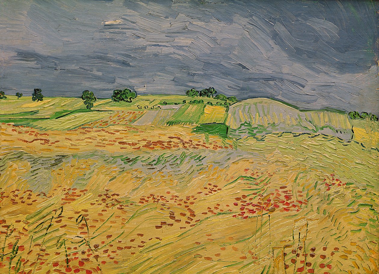 Ebene bei Auvers, 1890 von Vincent van Gogh