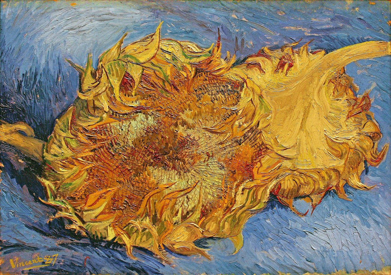 Zwei geschnittene Sonnenblumen von Vincent van Gogh