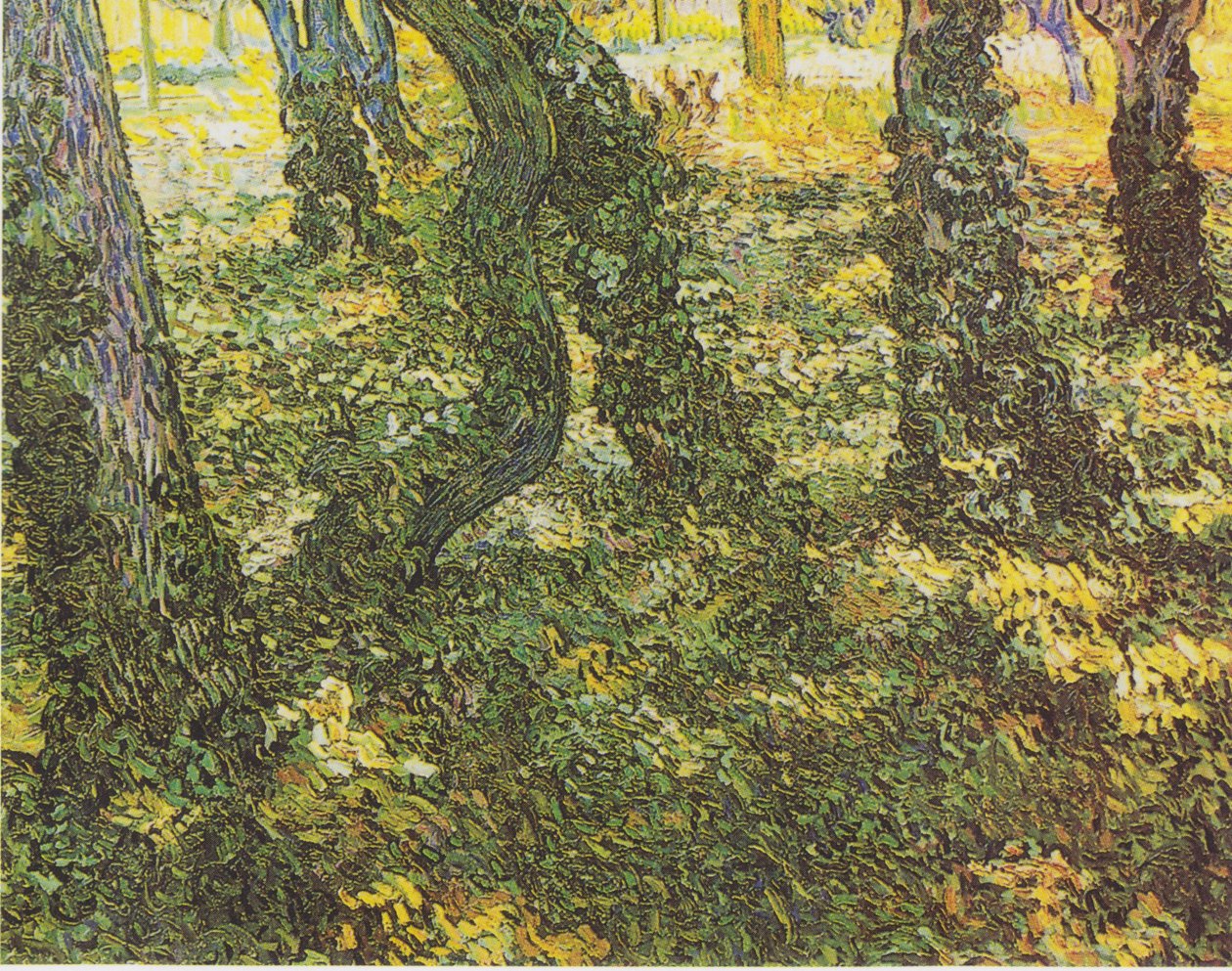 Unterholz mit Efeu von Vincent van Gogh