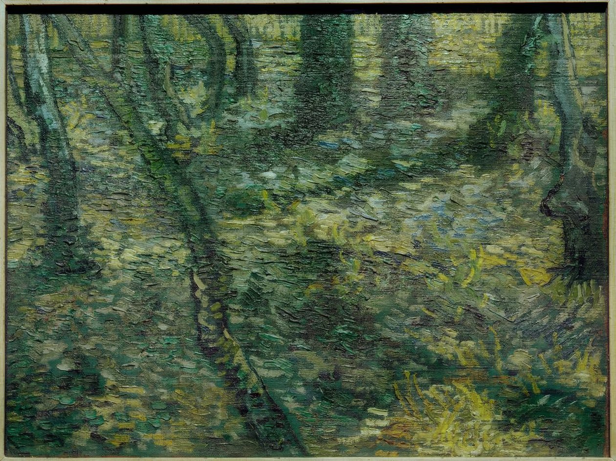 Unterholz mit Efeu von Vincent van Gogh
