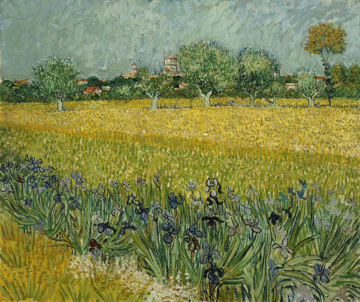 Feld mit Blumen bei Arles von Vincent van Gogh