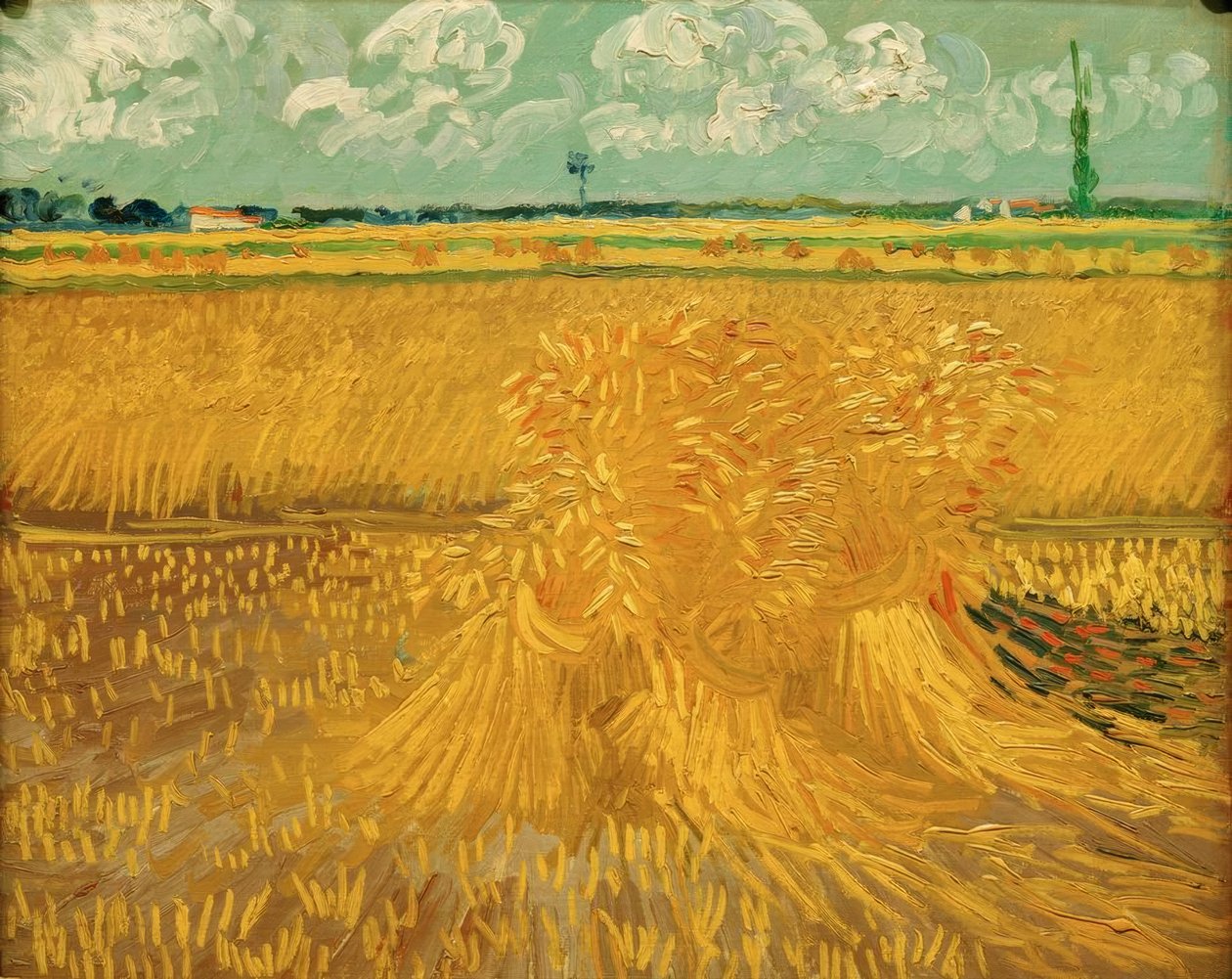 Weizenfeld mit Kornbündel von Vincent van Gogh