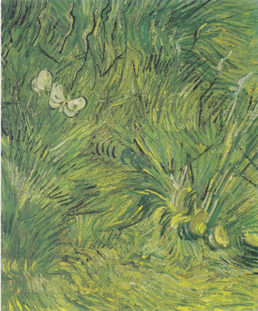 Zwei weiße Schmetterlinge von Vincent van Gogh