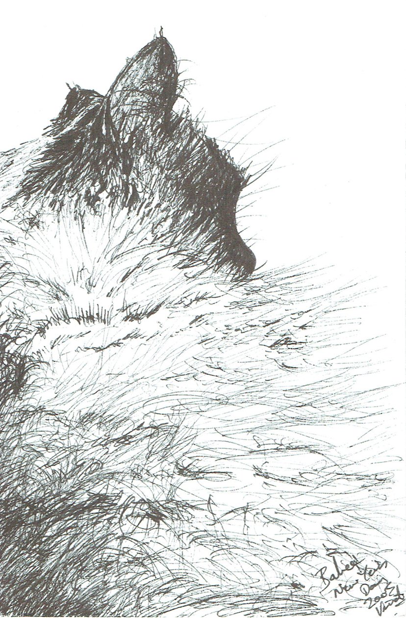 Baby hält sich warm Neujahr, 2005 von Vincent Alexander Booth