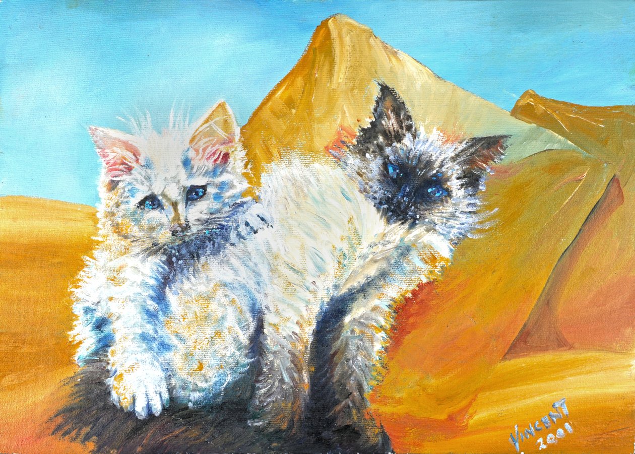 Kätzchen Monty und Baby von Vincent Alexander Booth