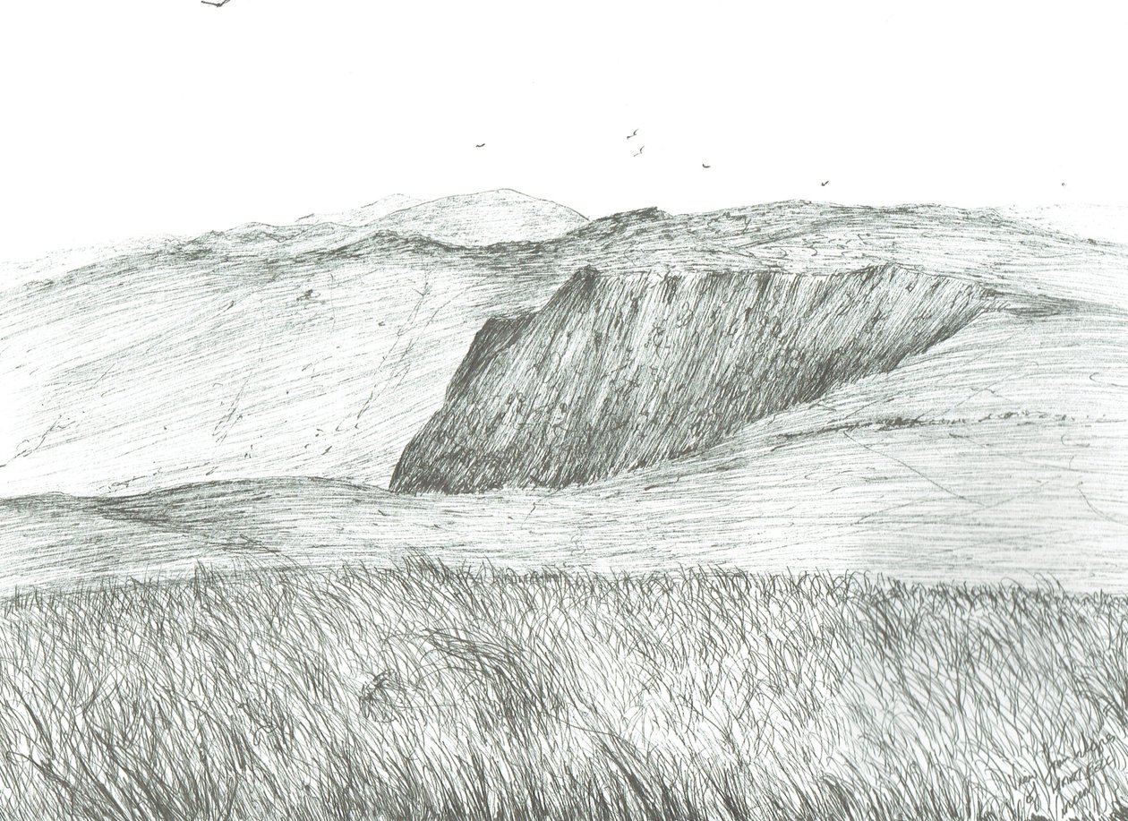 Hänge von Hartfell, 2003 von Vincent Alexander Booth