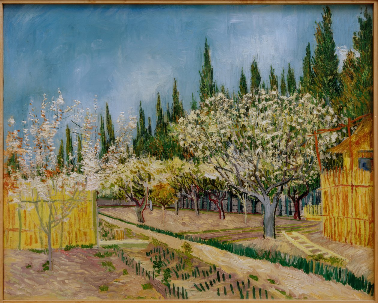 Blühender Obstgarten, von Zypressen umgeben von Vincent van Gogh