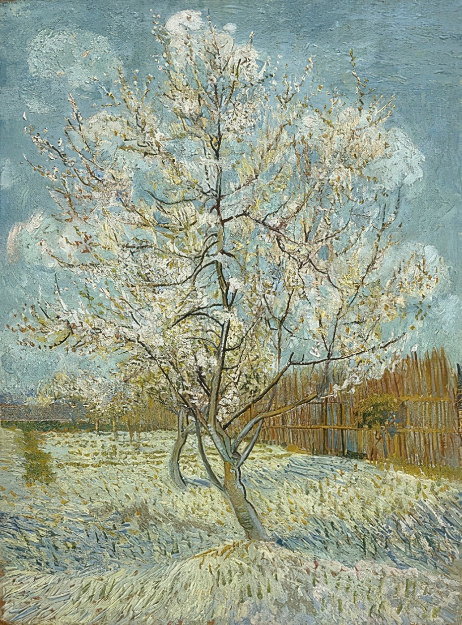Blühender Pfirsichbaum (rosa) von Vincent van Gogh