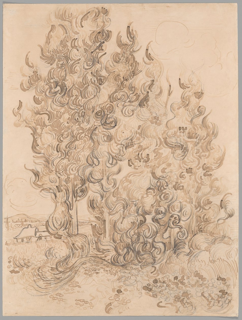 Zypressen von Vincent van Gogh