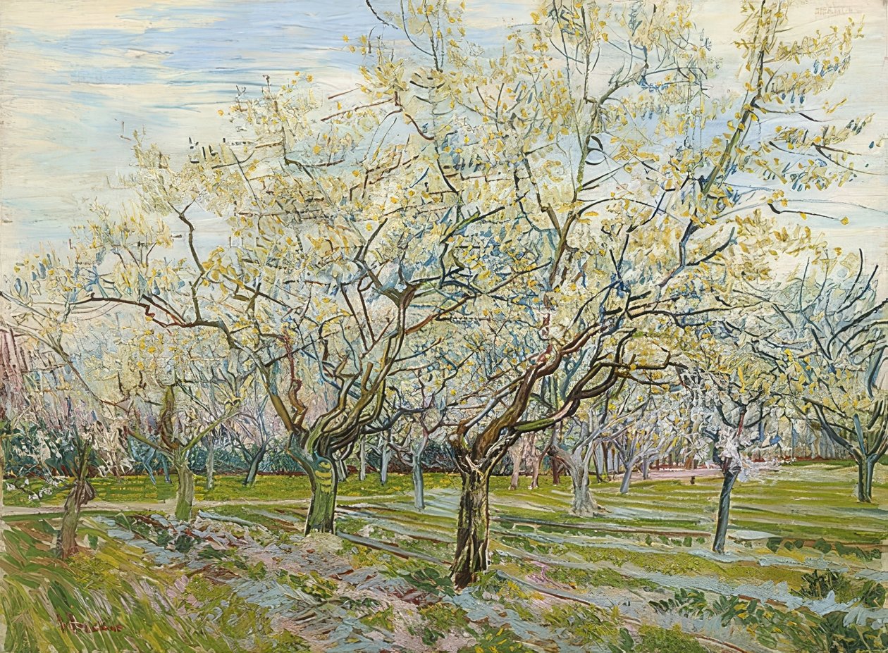 Der weiße Obstgarten. 1888 von Vincent van Gogh