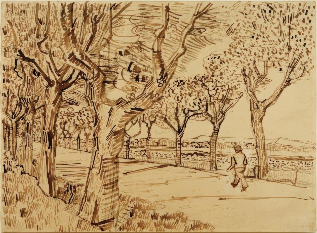 Die Straße nach Tarascon von Vincent van Gogh