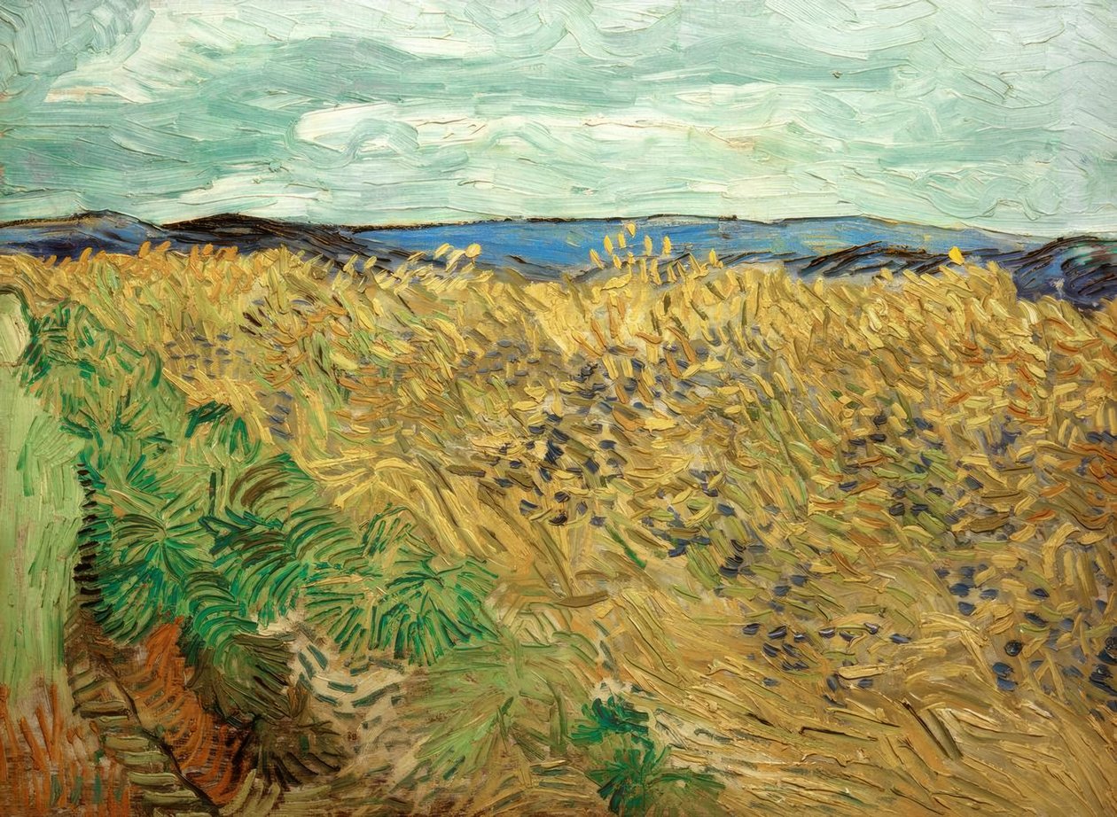 Feld mit Kornblumen von Vincent van Gogh
