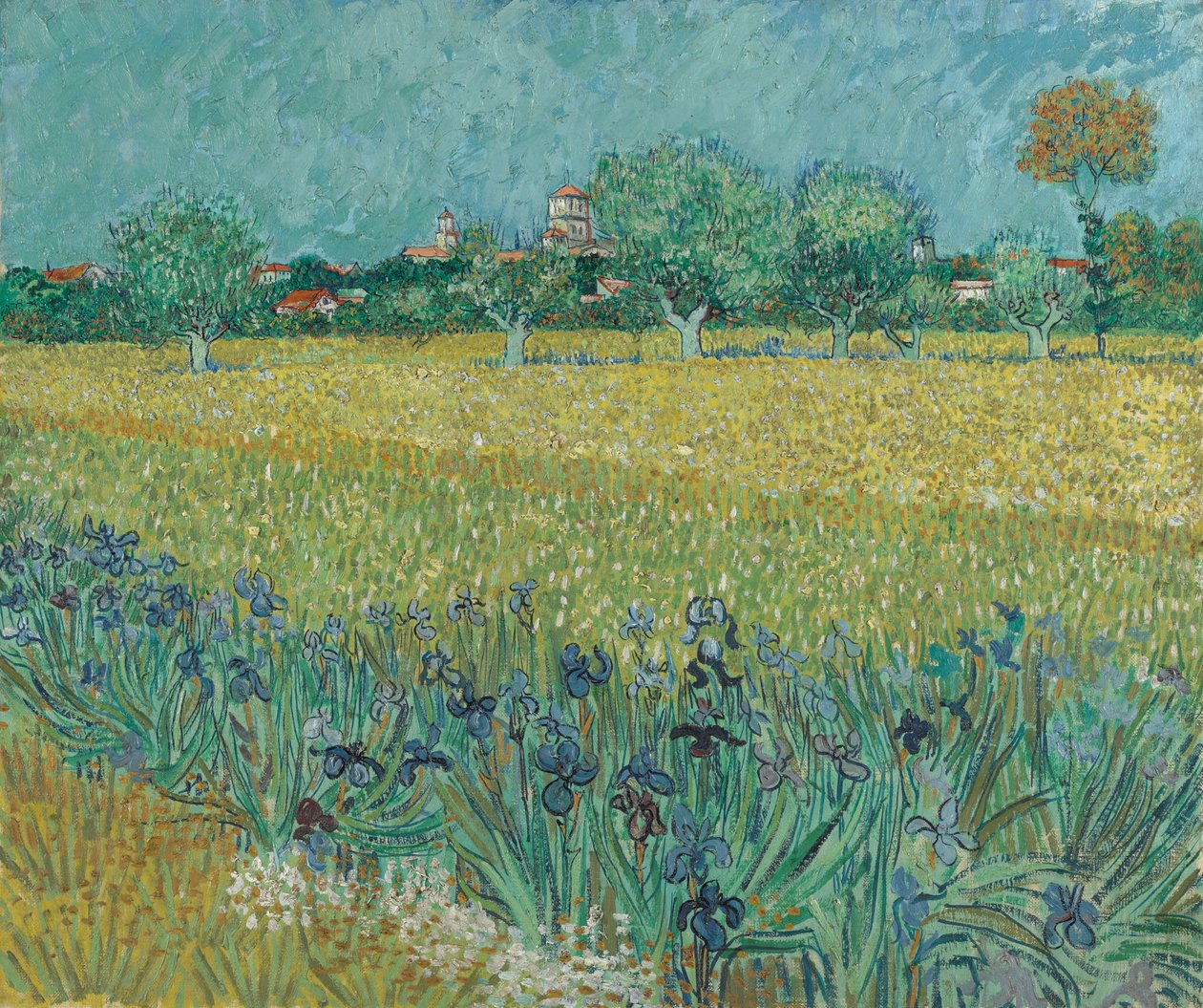 Feld mit Blumen bei Arles von Vincent van Gogh