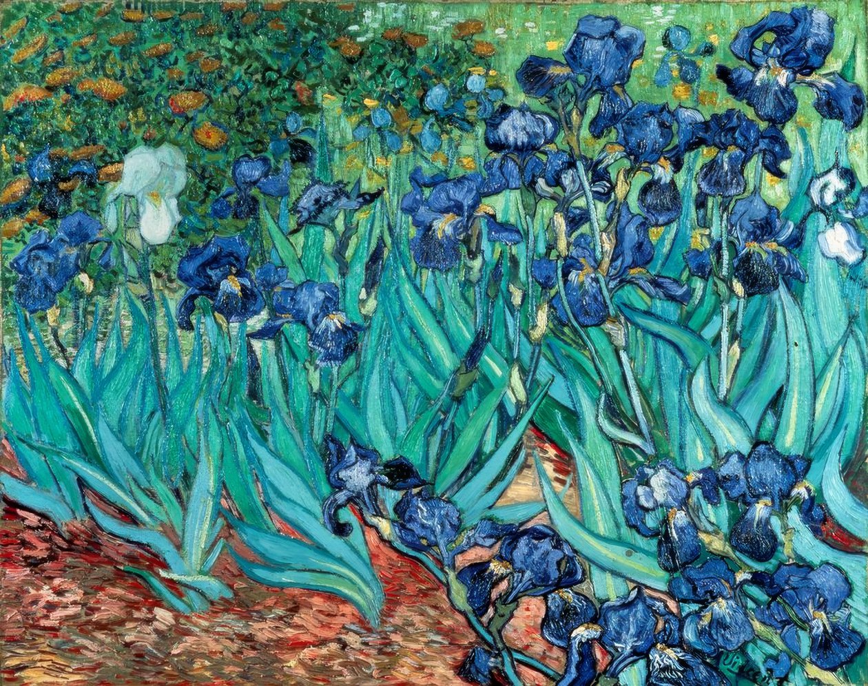 Iris (Schwertlilien) von Vincent van Gogh