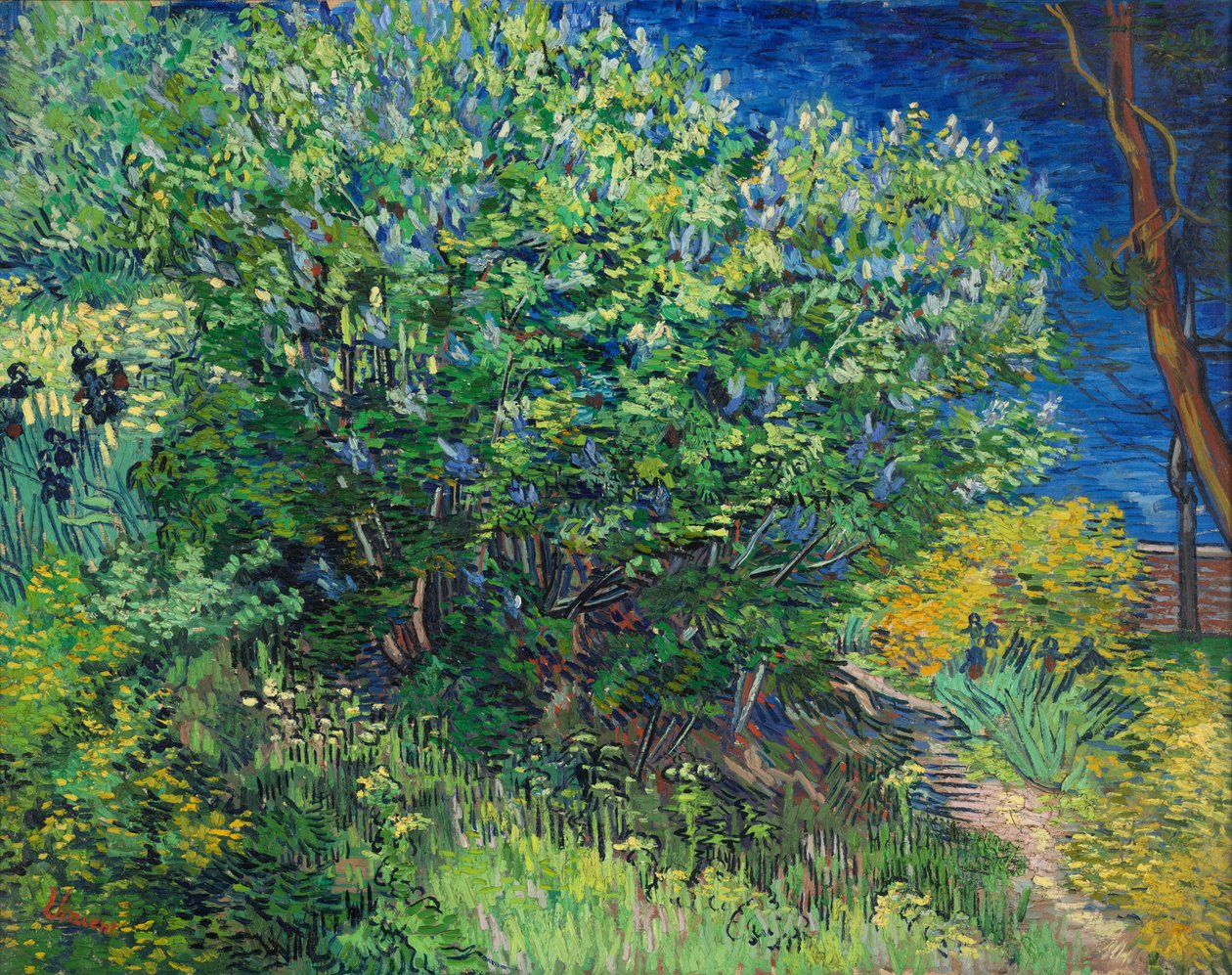 Flieder von Vincent van Gogh