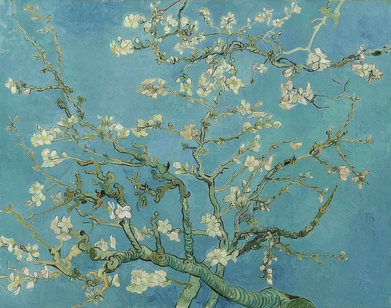 Mandelblüte von Vincent van Gogh