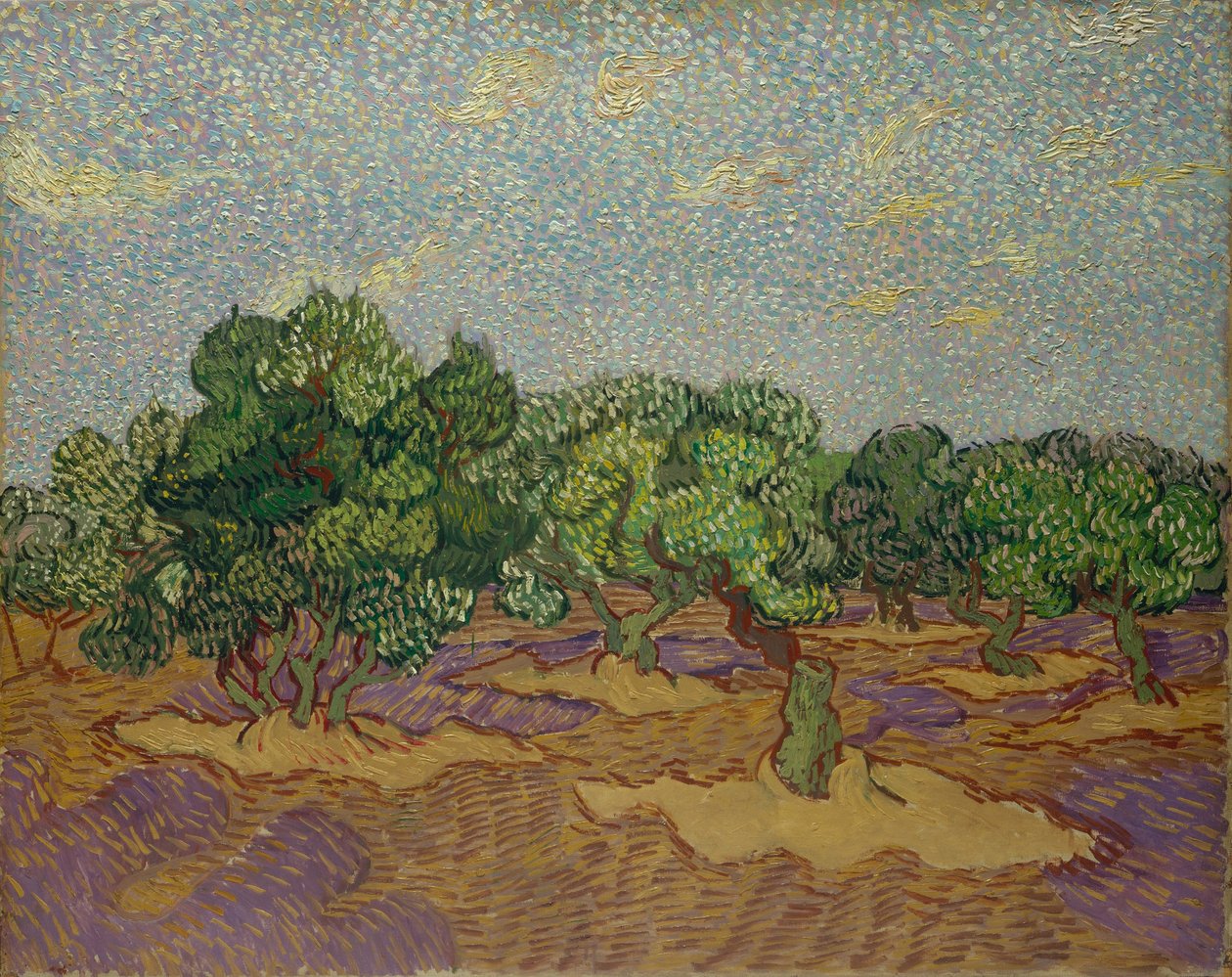 Olivenbäume von Vincent van Gogh