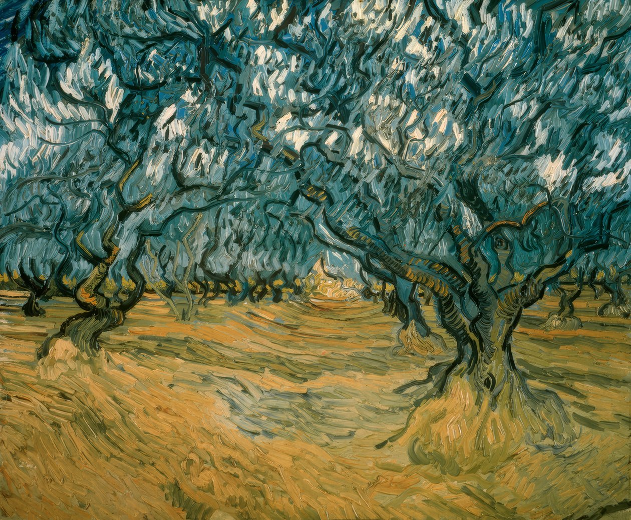 Olivenbäume von Vincent van Gogh