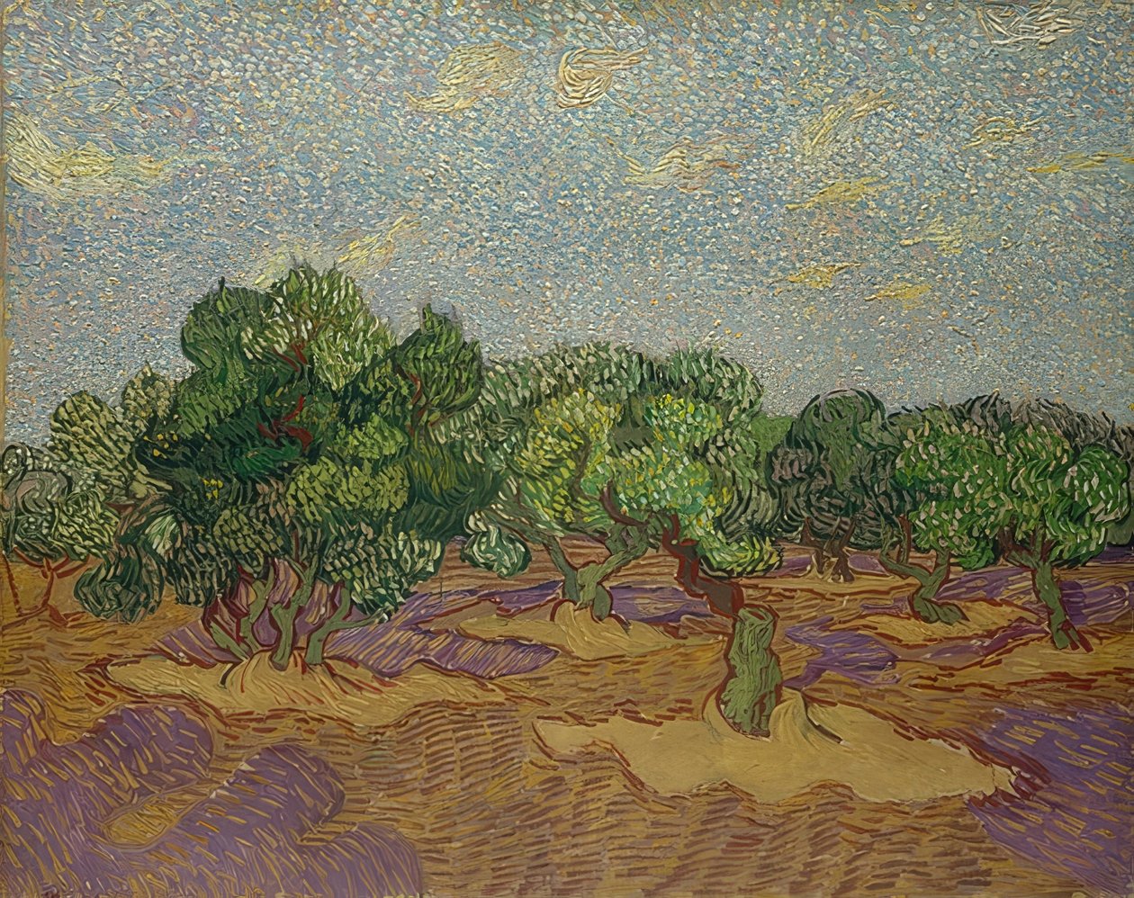 Olivenbäume, 1889 von Vincent van Gogh