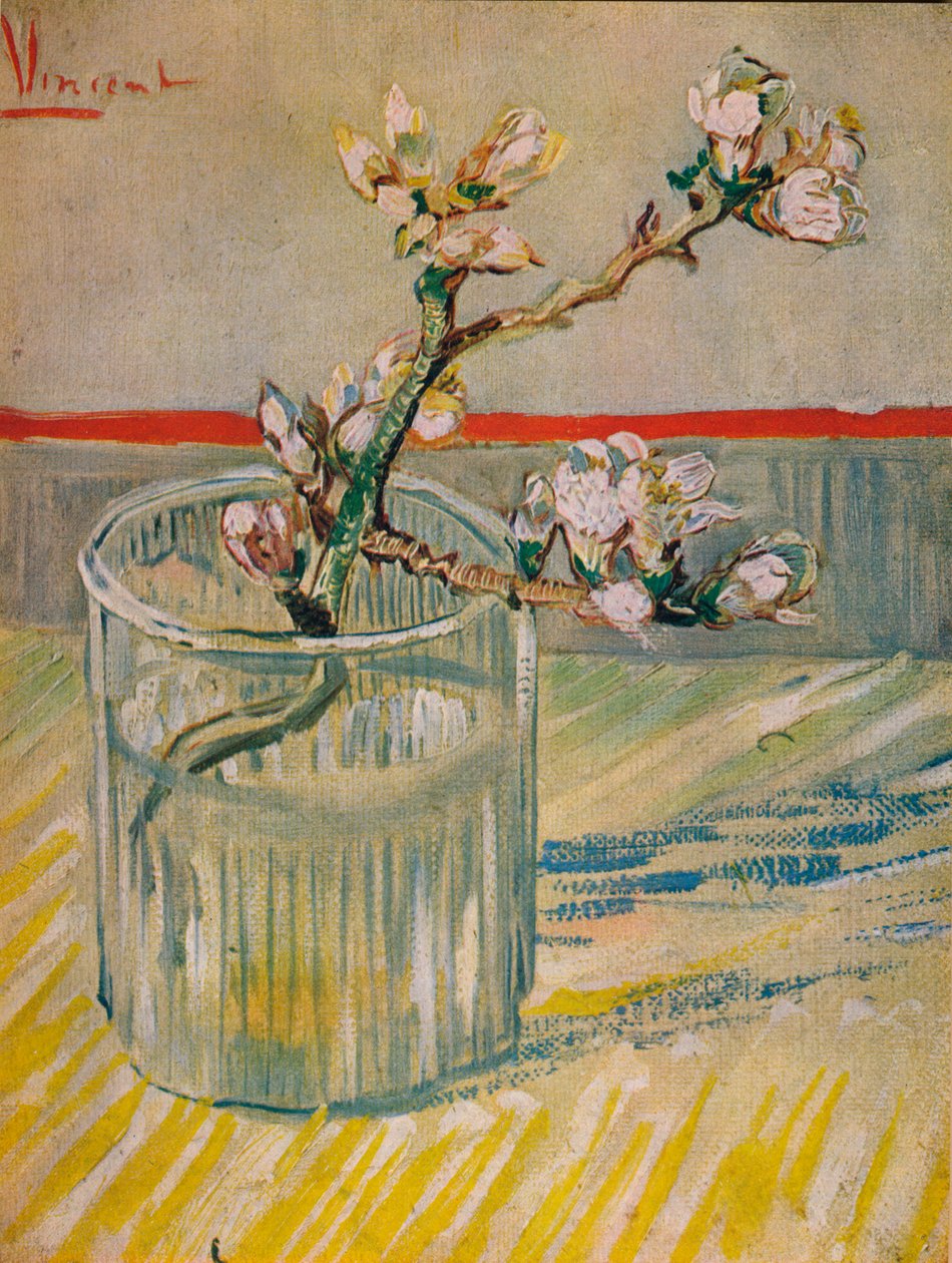 Blühender Mandelzweig, 1888 von Vincent van Gogh