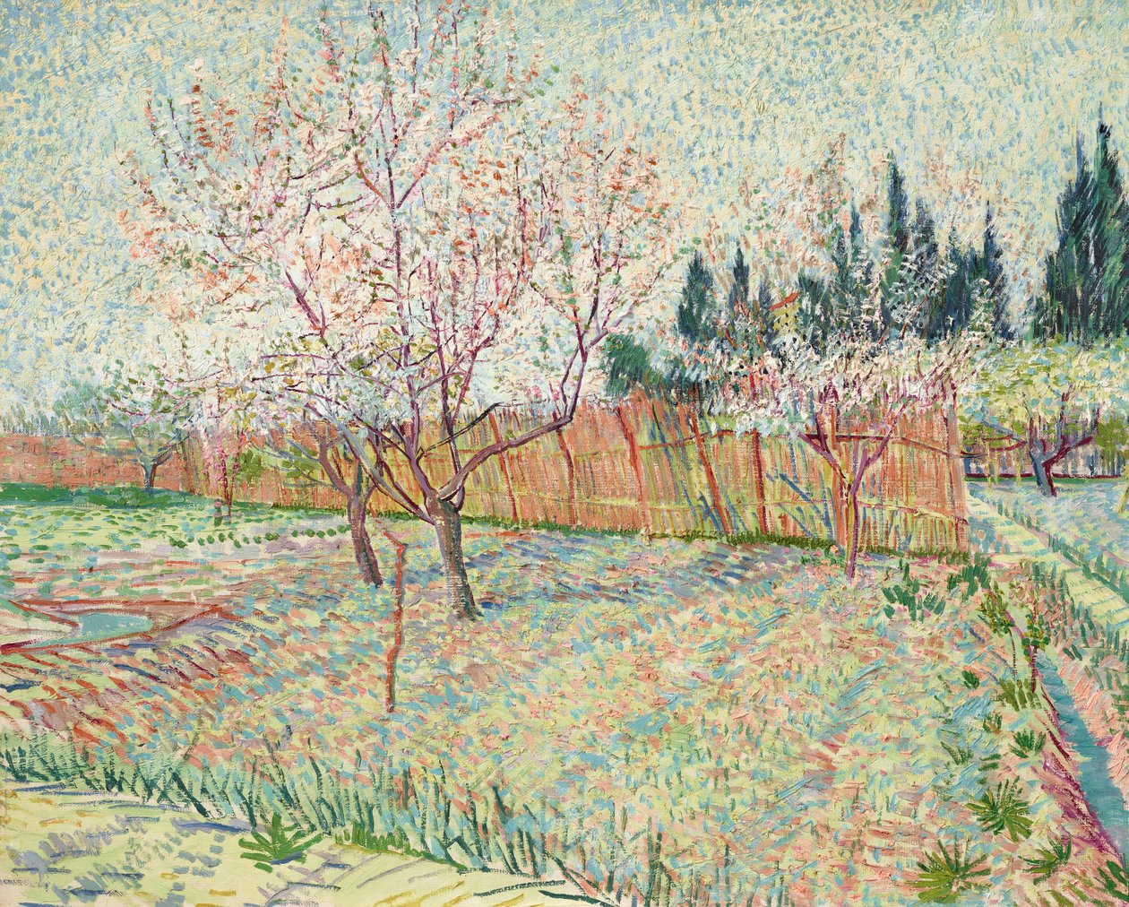 Obstgarten mit Zypressen von Vincent van Gogh