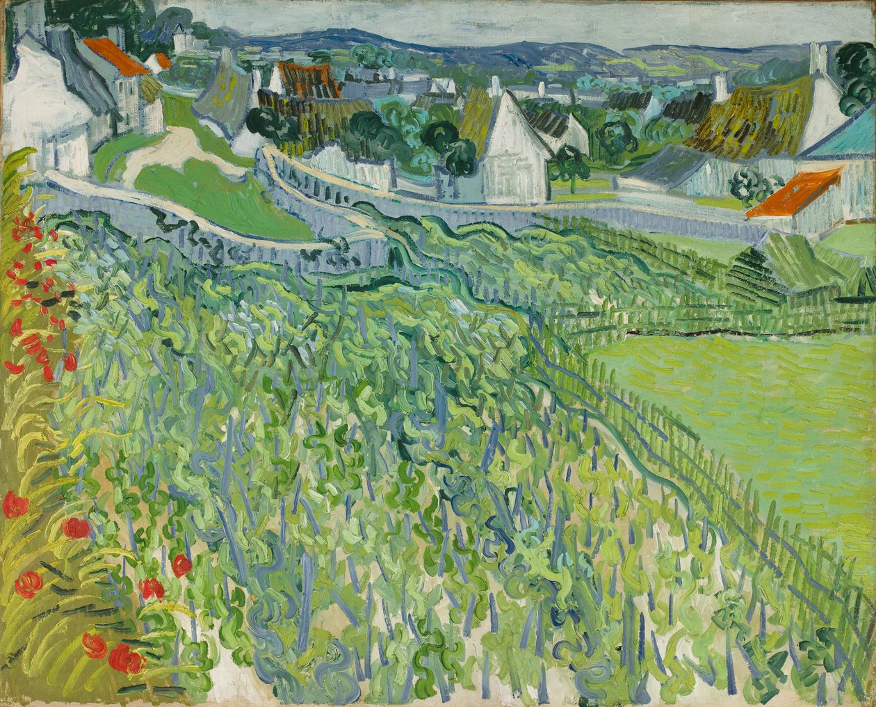 Weinberge in Auvers von Vincent van Gogh
