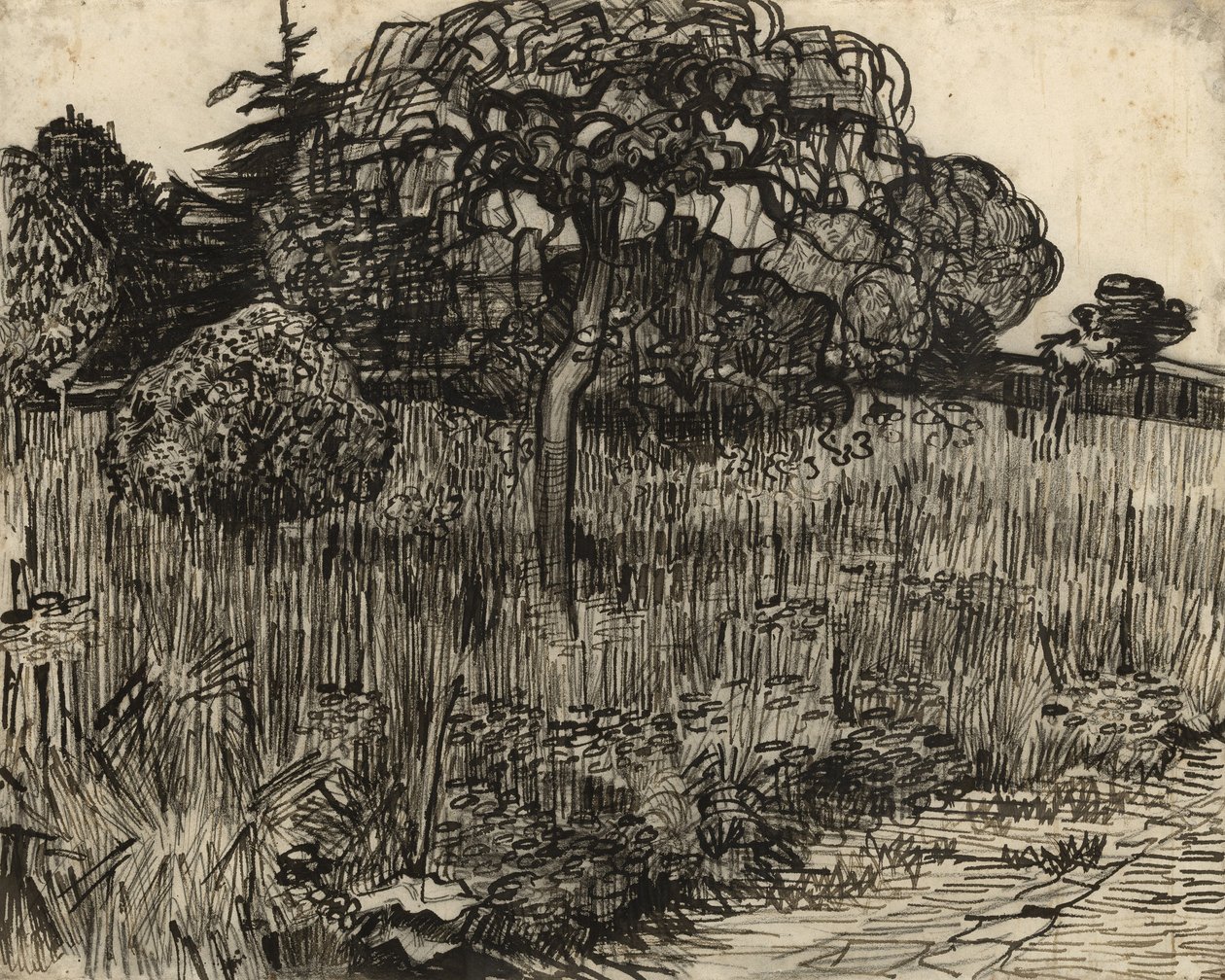 Weinender Baum, 1889 von Vincent van Gogh