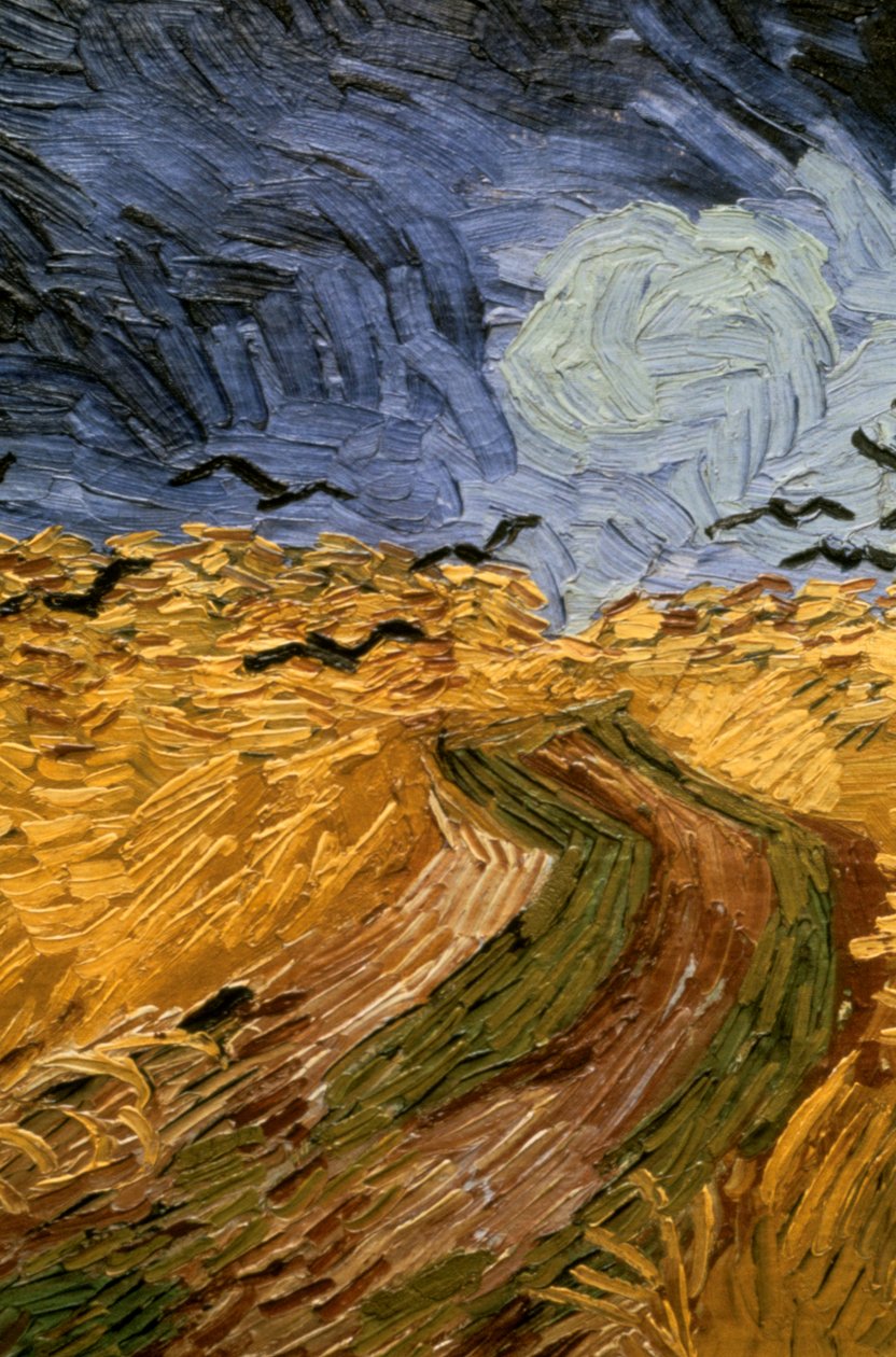 Weizenfeld mit Krähen (Detail), 1890 von Vincent van Gogh