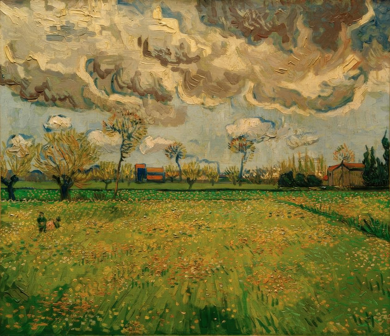 Wiesen (Arles) von Vincent van Gogh