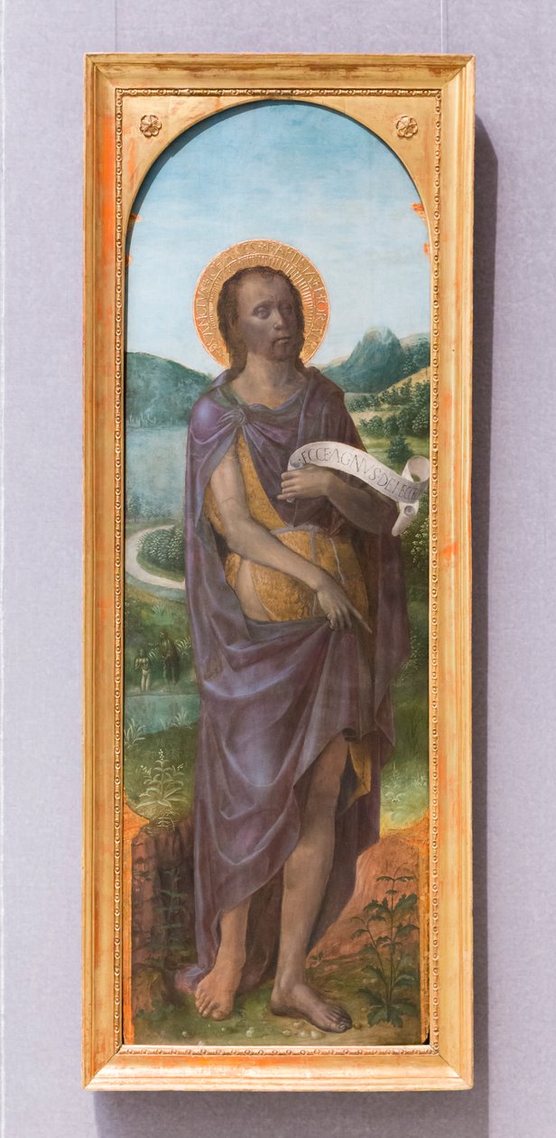 Johannes der Täufer von Vincenzo Foppa