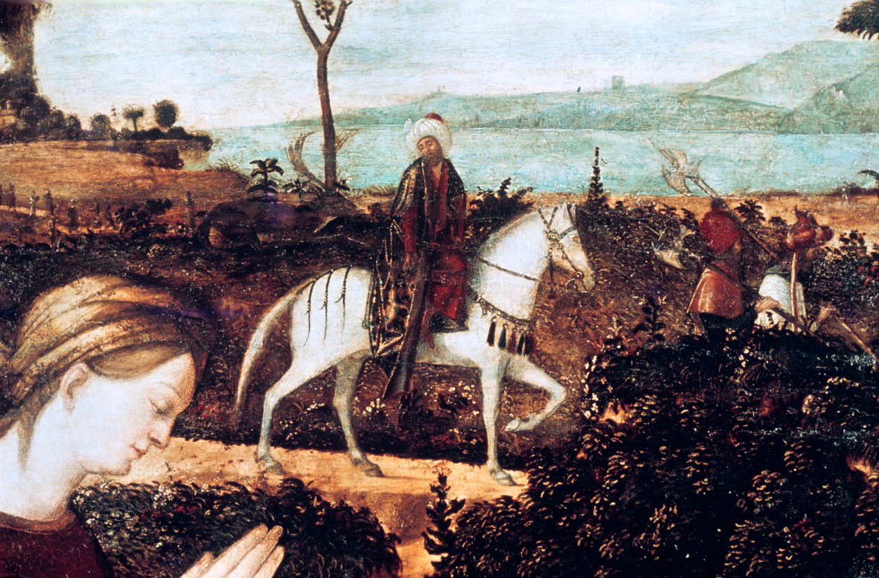 Heilige Familie (Detail) von Vittore Carpaccio