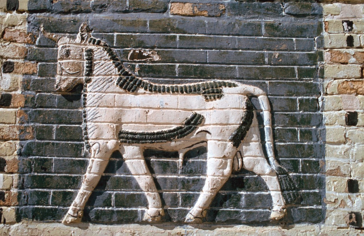 Stier, glasierte Ziegel, Ischtar-Tor, Babylon, Irak von Vivienne Sharp