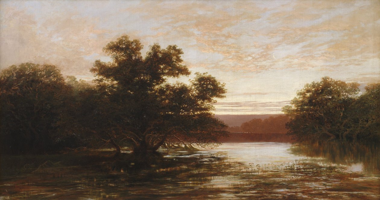 Ein australischer Mangrovenbaum bei Ebbe von W.C. Piguenit
