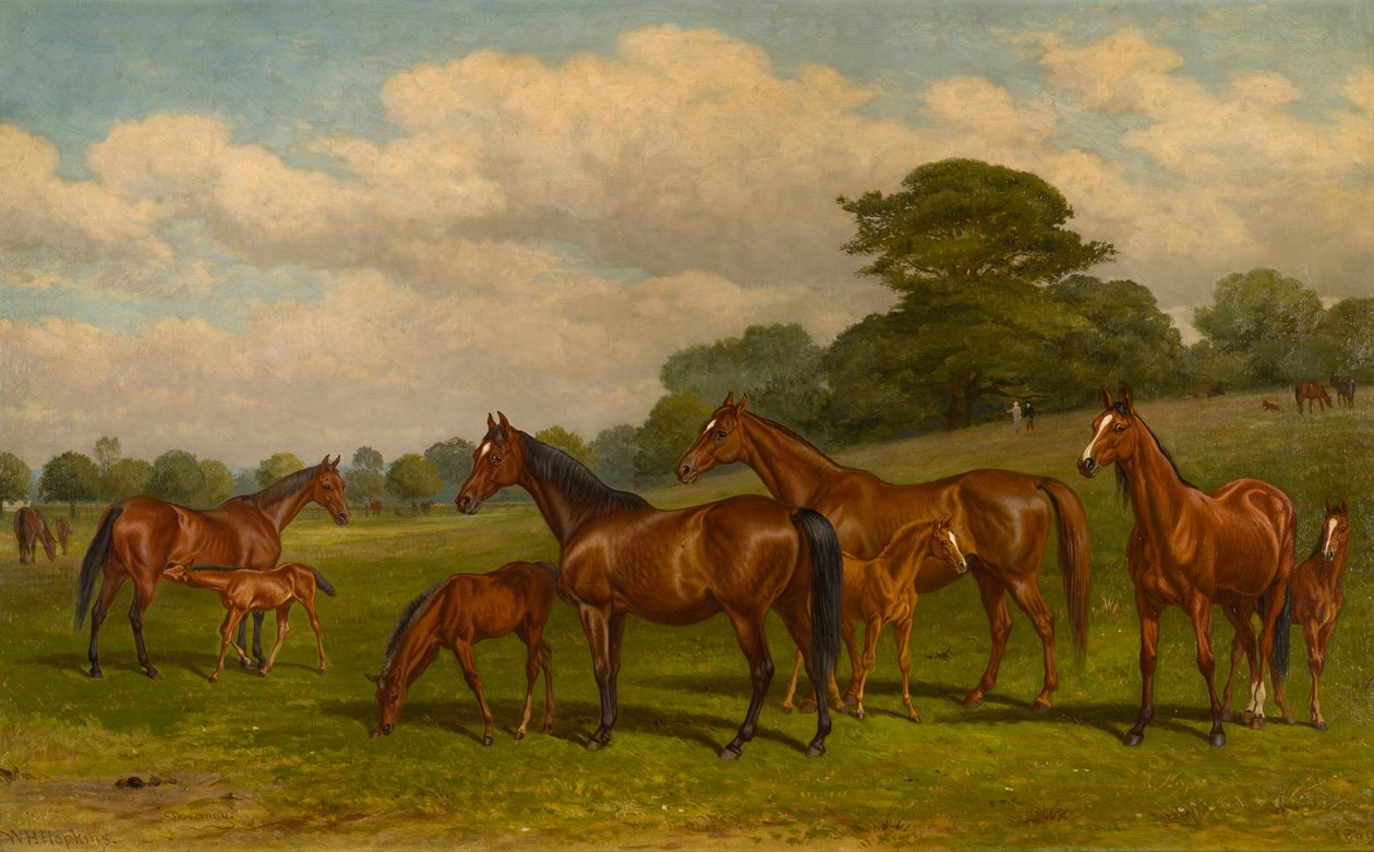Stuten und Fohlen, c.1892 von W.H. Hopkins