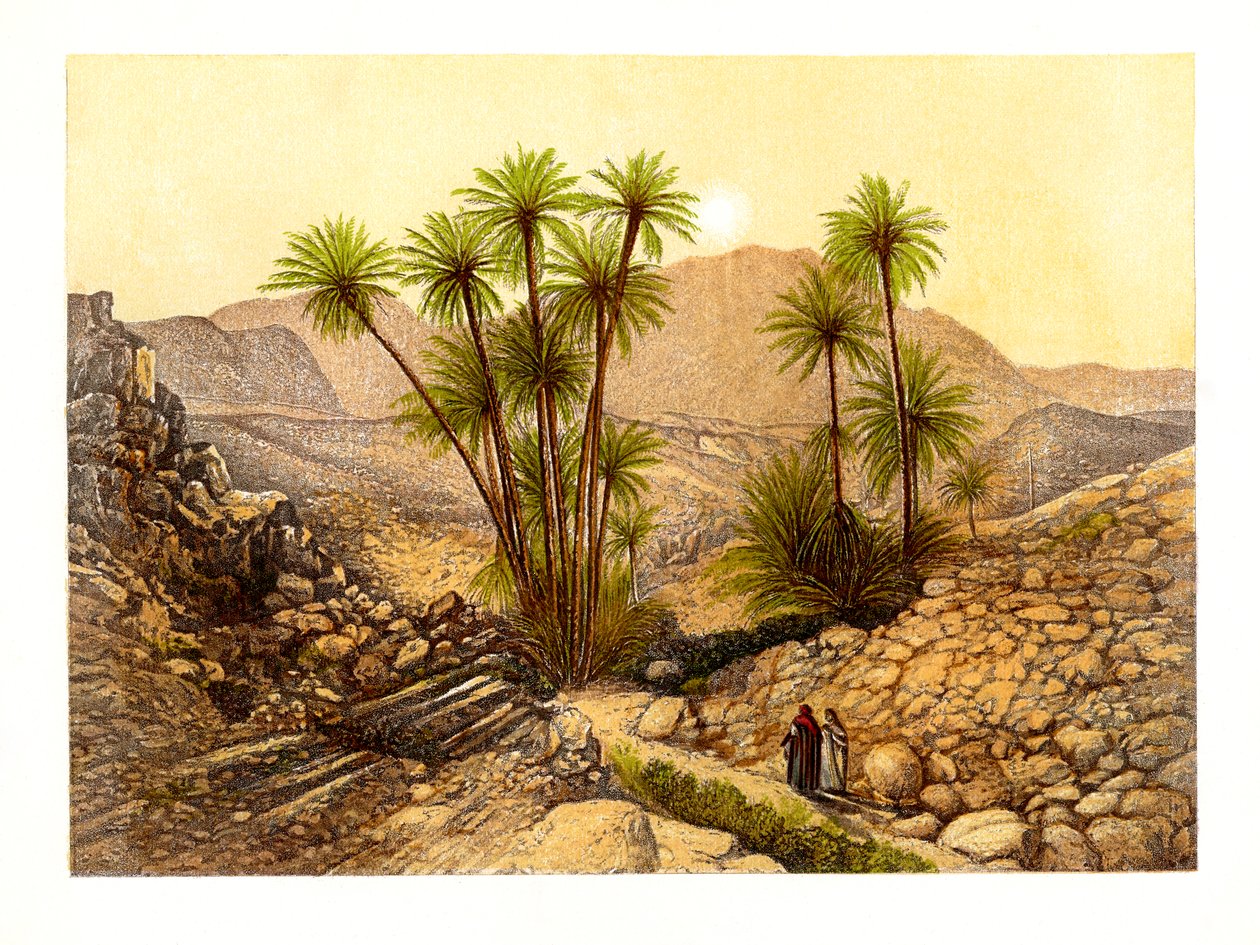 Die Wüste Sinai, Ägypten, um 1870 von W. Dickens