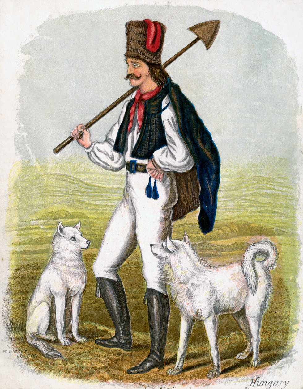 Ungarischer Mann mit Hunden von W. Dickes