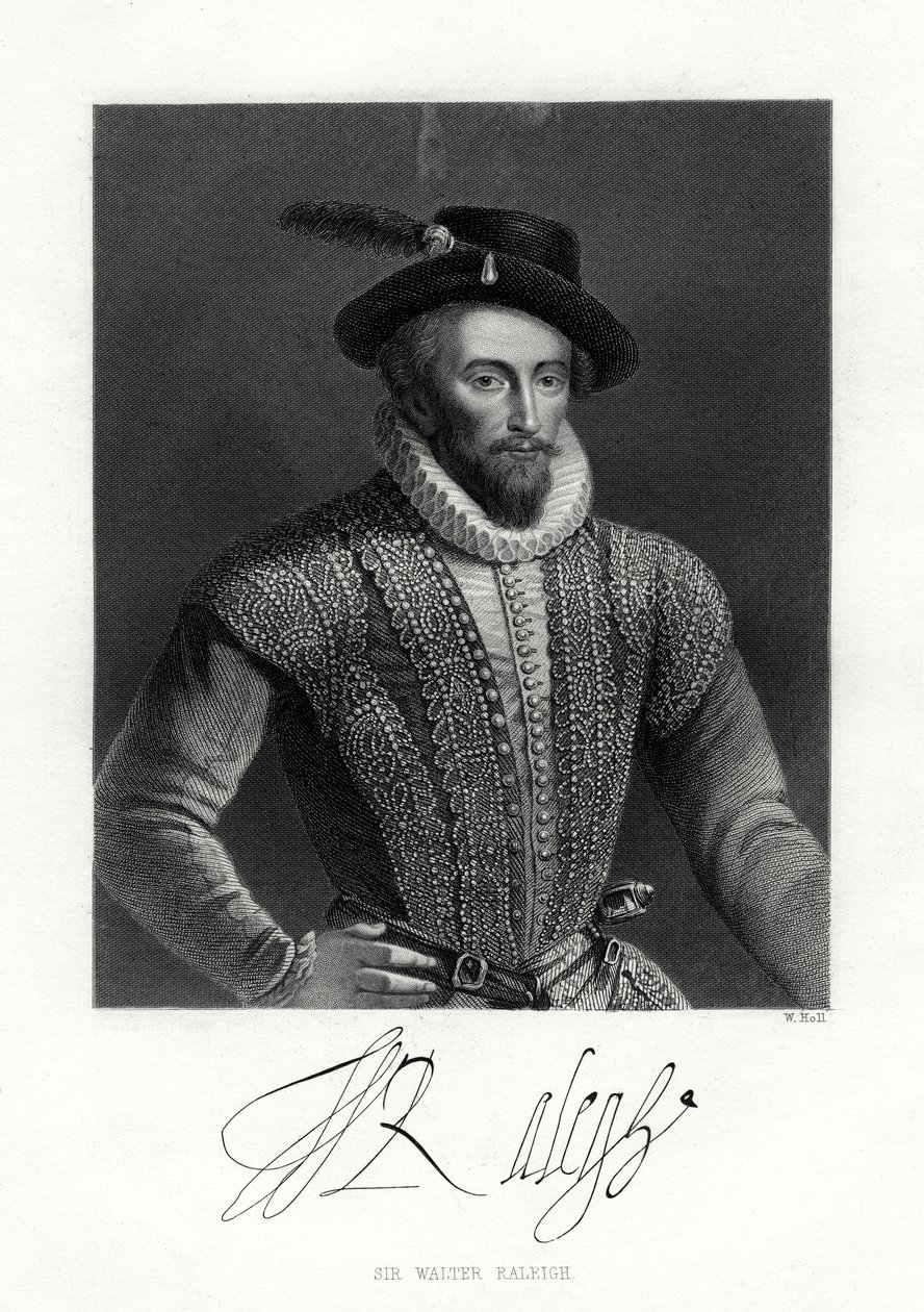 Sir Walter Raleigh von W. Holl