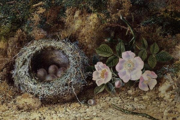 Vogelnest und Heckenrosen von W. M. Arundale