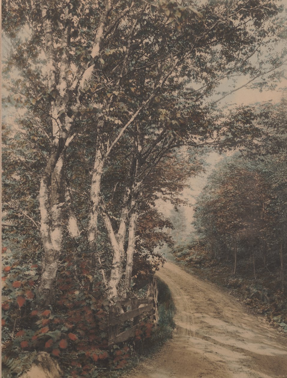 Westmore Drive von Wallace Nutting