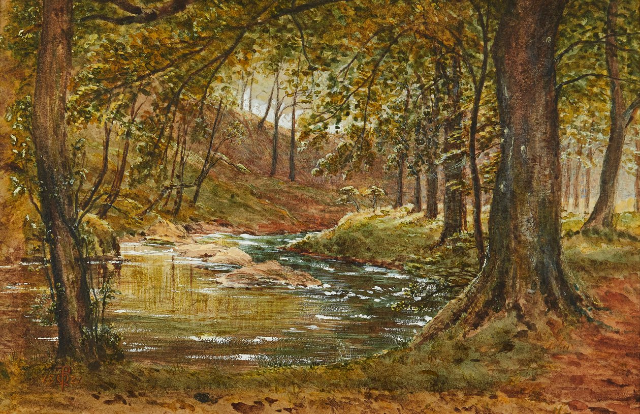 Eine Waldlichtung von Waller Hugh Paton