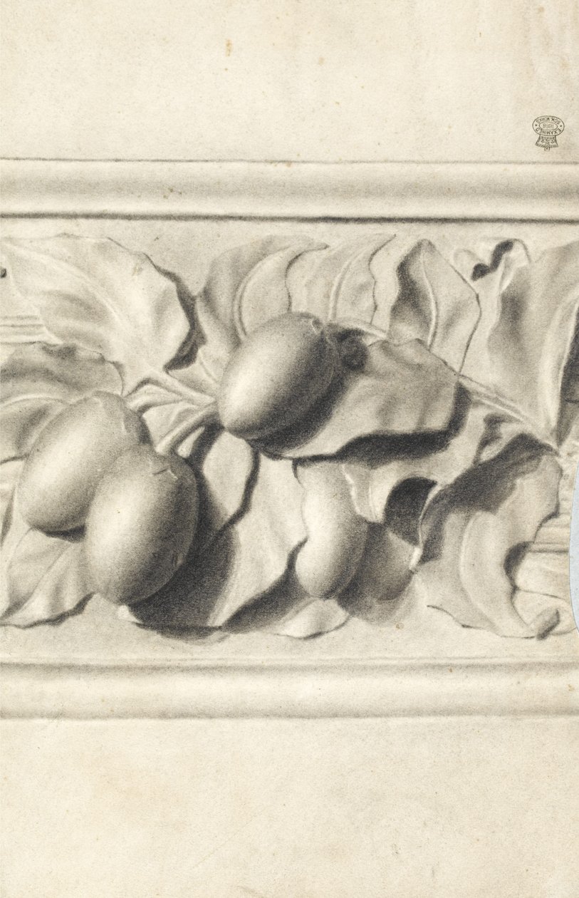 Zeichnung von Früchten aus Gipsabguss im Relief von Walter Bonner Gash