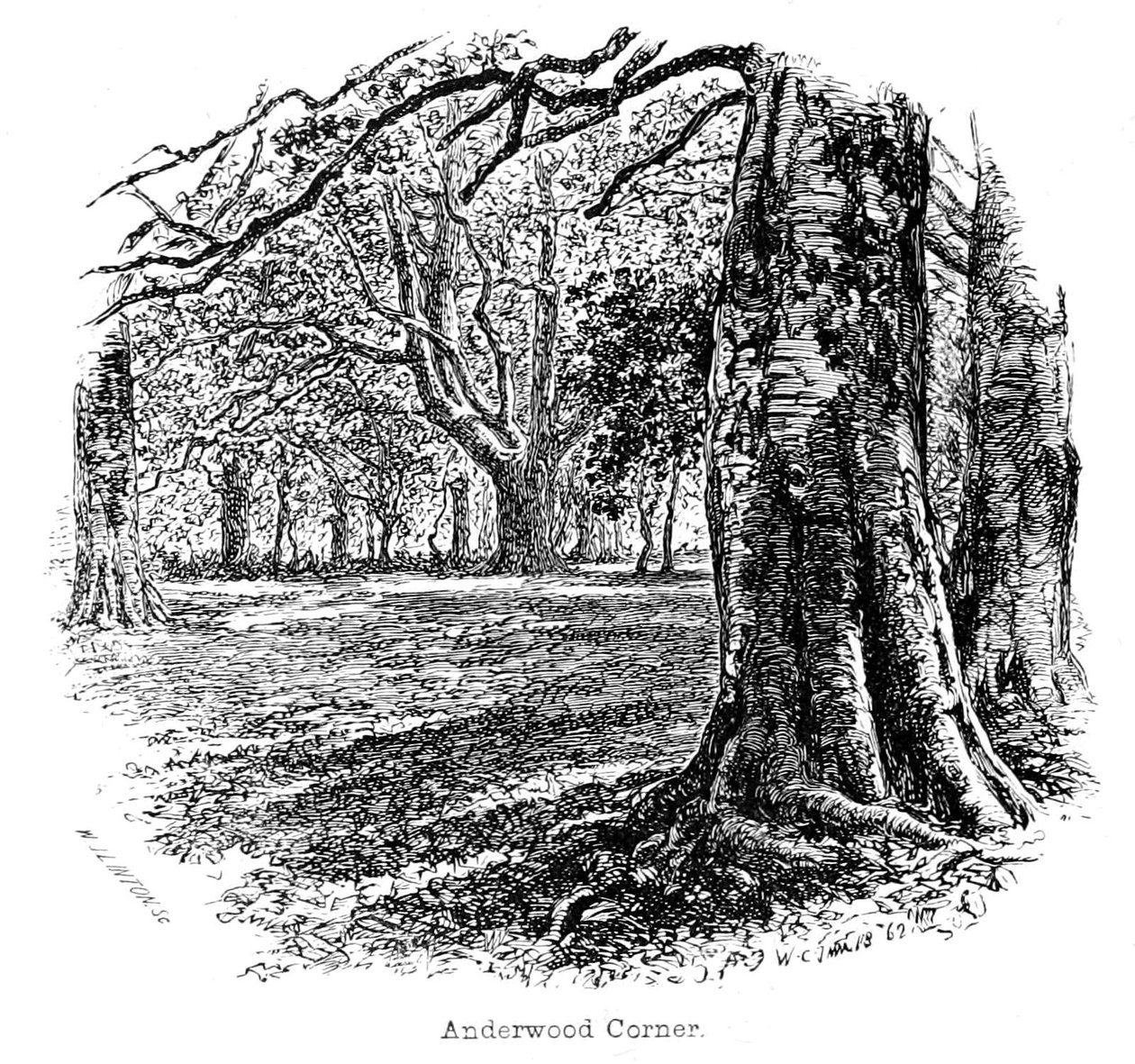 Anderwood Ecke von Walter Crane