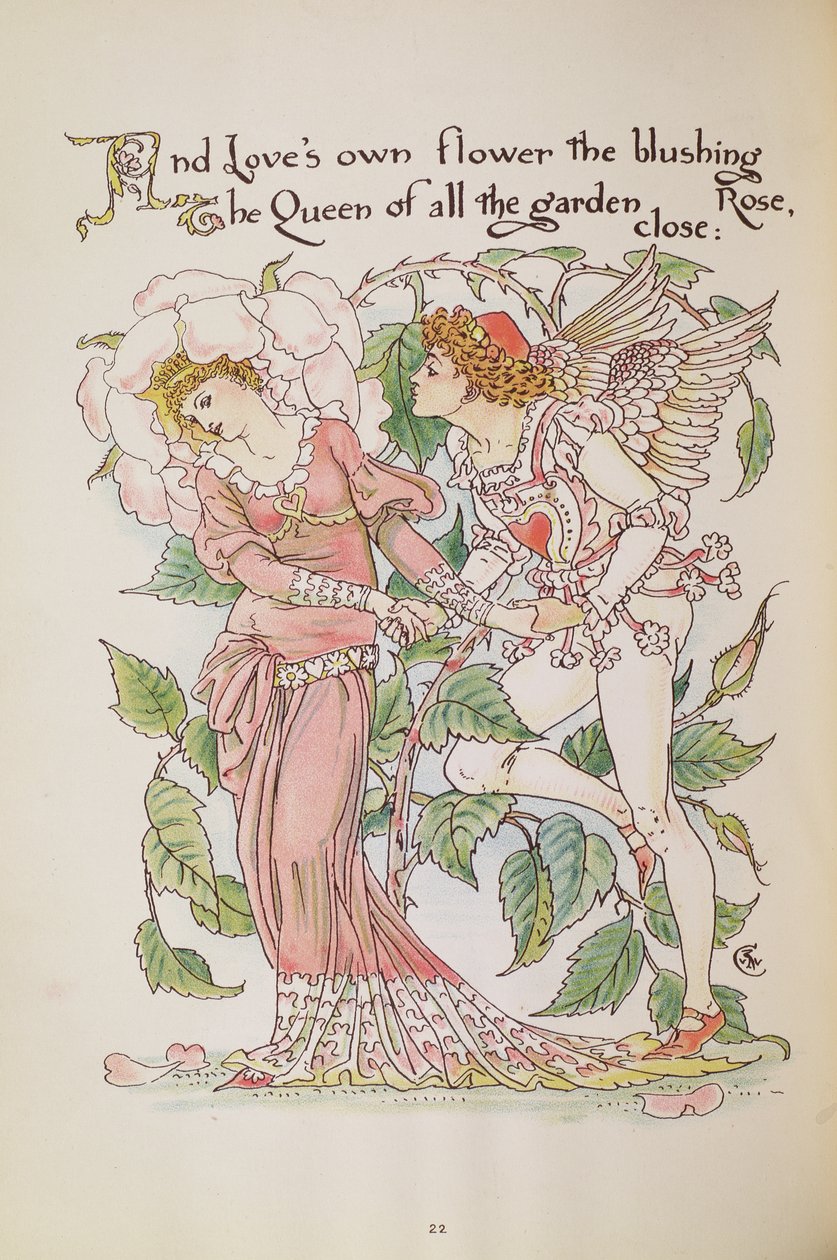 Die Rose aus 