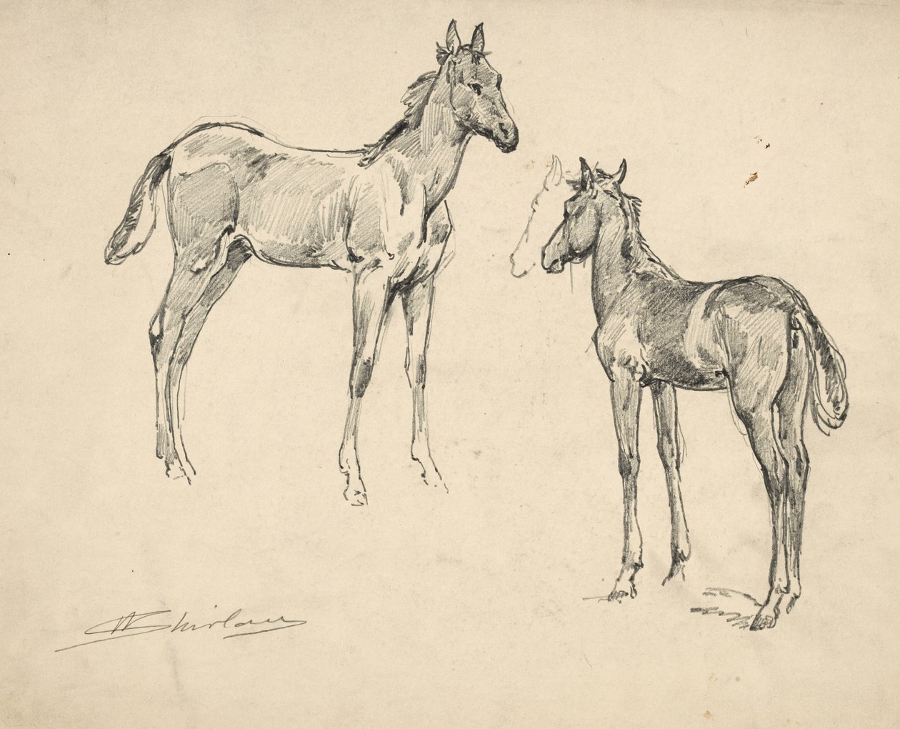 Studie von zwei Fohlen von Walter Shirlaw
