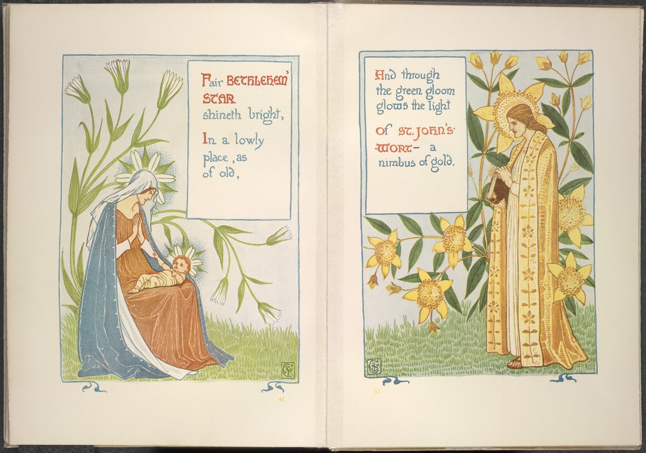 Bethlehemstern und Johanniskraut von Walter Crane