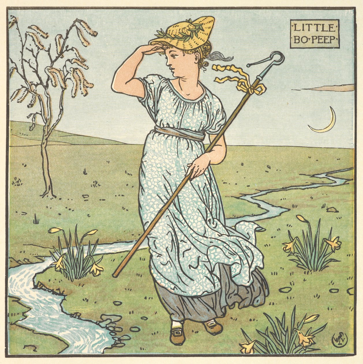 Farbige Illustration für 