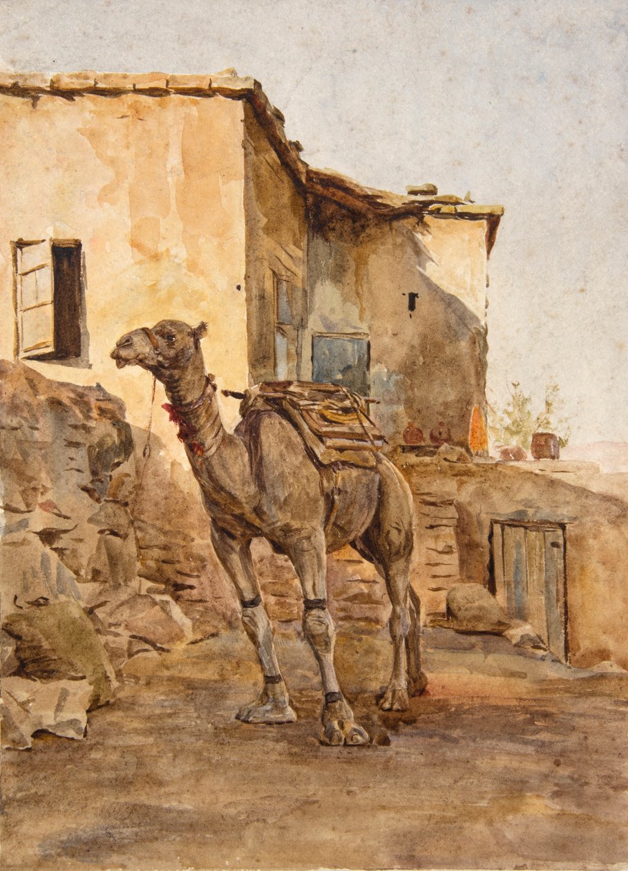 Angebundener Kamel von Walter Frederick Roofe Tyndale